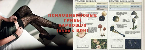 сатива Алексин