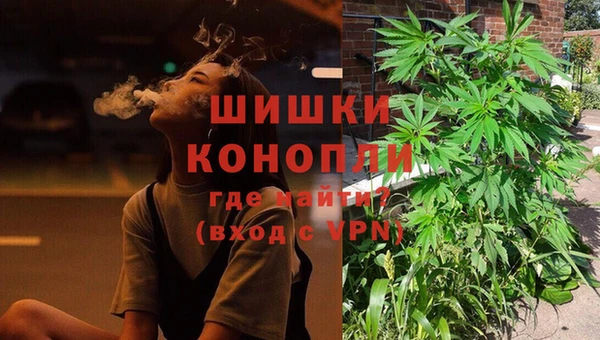 прущая мука Алзамай