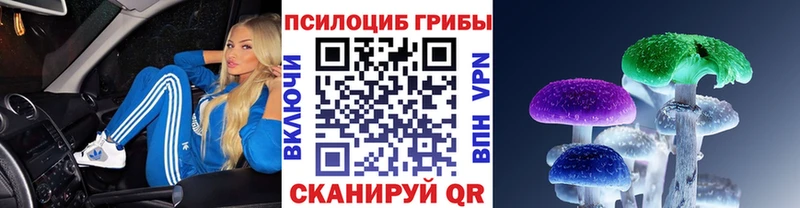 Галлюциногенные грибы мухоморы  где продают   Качканар 