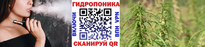 Канабис марихуана  kraken сайт  Качканар 